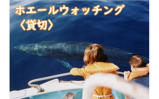 ホエールウォッチング＜貸切＞ [1400-2]