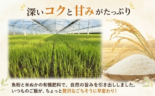 〈2026年産〉コシヒカリ 【玄米】5kg グルメな外国人 農家 が作った こだわり お米 こしひかり 新米 米 国産米 銘柄米 米5kg 令和8年産 産地直送 ご飯 コメ こめ げんまい ごはん ラ