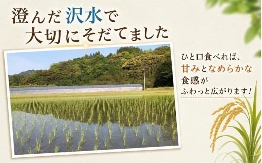 〈2026年産〉コシヒカリ 【玄米】5kg グルメな外国人 農家 が作った こだわり お米 こしひかり 新米 米 国産米 銘柄米 米5kg 令和8年産 産地直送 ご飯 コメ こめ げんまい ごはん ラ