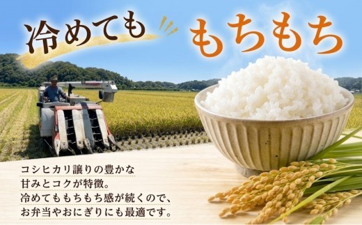〈2026年産〉ヒノヒカリ 【白米】5kg グルメな外国人 農家 が作った こだわり お米 ひのひかり 新米 米 国産米 銘柄米 米5kg 令和8年産 産地直送 ご飯 コメ こめ ごはん ライス 一人