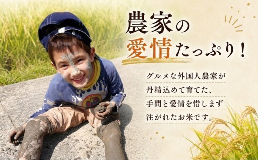 〈2026年産〉ヒノヒカリ 【白米】5kg グルメな外国人 農家 が作った こだわり お米 ひのひかり 新米 米 国産米 銘柄米 米5kg 令和8年産 産地直送 ご飯 コメ こめ ごはん ライス 一人