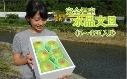 届いてすぐに食べられる 完熟 温室 水晶 文旦 5～6玉 [1404-3]