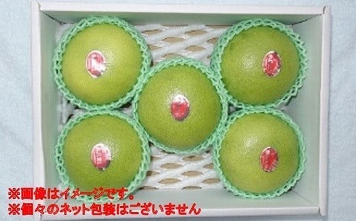 届いてすぐに食べられる 完熟 温室 水晶 文旦 5～6玉 [1404-3]