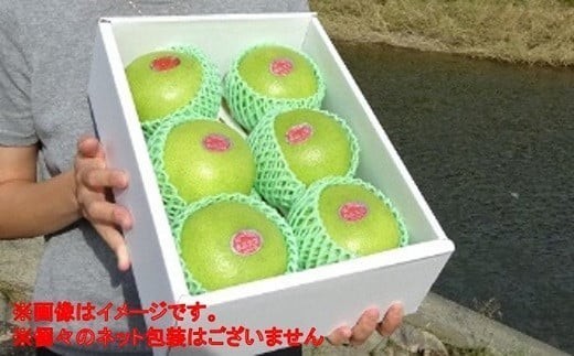 届いてすぐに食べられる 完熟 温室 水晶 文旦 5～6玉 [1404-3]