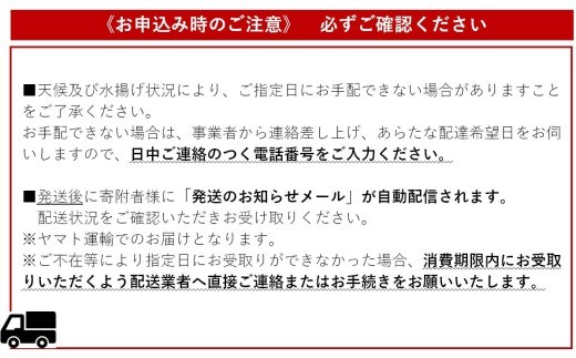 土佐沖 一本釣り 新鮮 日もどり 生 戻りカツオ 藁焼き たたき 2～3節 かつお 鰹 カツオ わら焼き 藁焼きたたき かつおのたたき かつおたたき 鰹のたたき カツオのたたき 期間限定 魚 魚介類