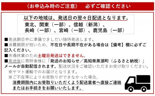 戻り 鰹 土佐佐賀港水揚げ 新鮮 ご家庭用 鮮魚 1kg 2尾 かつお 天然 カツオ 海鮮 魚 魚介 高知 黒潮町 [1064]
