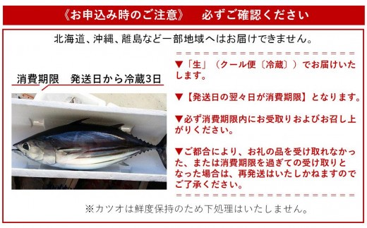 戻り鰹  大物 3kg 1尾 土佐佐賀港水揚げ 新鮮 天然 鰹 かつお 産地直送 刺身 お刺身 さしみ 魚 海鮮 鮮魚 魚介 お祝い ギフト 贈答用 高知 黒潮町 [0336]