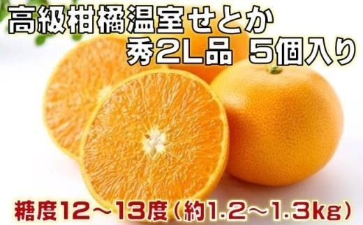 高級 柑橘 温室 せとか 秀品 2L 品 5個入り 約1.2~1.3kg みかん 蜜柑 ミカン 果物 フルーツ 柑橘類 国産 柑橘 期間限定 季節限定 数量限定 人気 旬 甘い ジューシー 完熟 ギフ