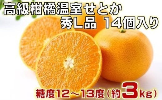 せとか 温室せとか 高級柑橘 セトカ Lサイズ