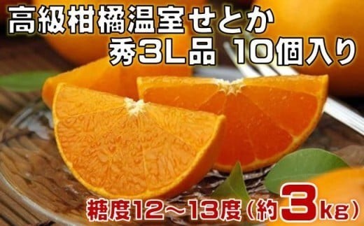 高級 柑橘 温室 せとか 秀品 3L 品 10個入り 約3kg みかん 蜜柑 ミカン 果物 フルーツ 柑橘類 国産 期間限定 季節限定 数量限定 人気 旬 甘い ジューシー 完熟 ギフト プレゼント