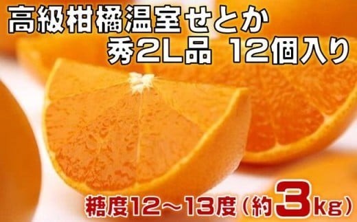 高級 柑橘 温室 せとか 秀品 2L