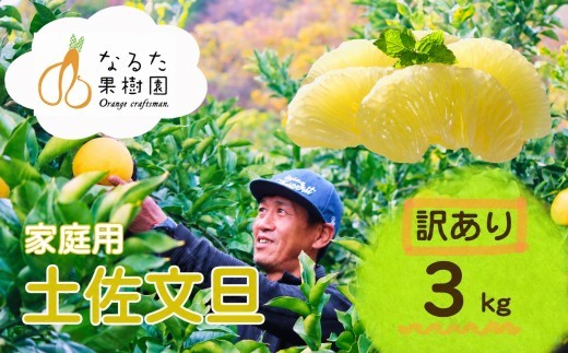 成田果樹園の土佐文旦 3kg