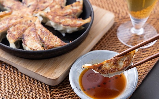 かつお ギョウザ 3種4パック セット カツオ