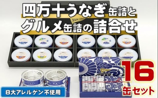 四万十うなぎ 2種×2個