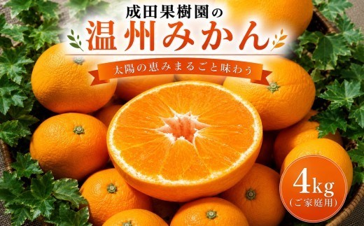 成田果樹園の温州みかん 4kg
