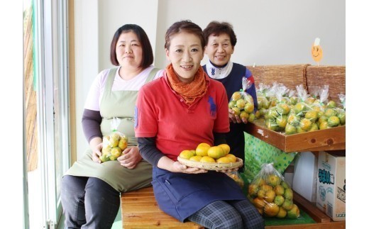 成田果樹園の温州みかん 4kg（ご家庭用）［1830-2］
