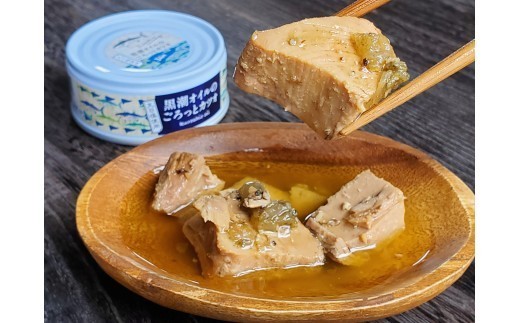 【訳あり】黒潮オイルのごろっとカツオ　12缶セット 缶詰 缶詰め  土佐 高知 カツオ 鰹 オイル 詰め合わせ 日常食 常温保存 手軽 簡単 調理 レトルト 湯せん 即席 ご褒美 国産 魚 魚介類 魚