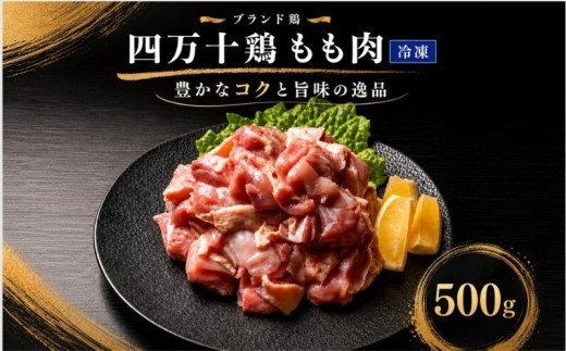 【冷凍】 四万十鶏もも肉 500g カット済み (500g×1袋) 冷凍ストック 冷凍保存 時短 小分け 小分けパック 簡単調理 肉 お肉 鶏もも肉 鶏肉 鶏 とりにく とりもも 肉 鶏肉パック 精肉