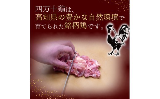【冷凍】 四万十鶏もも肉 500g カット済み (500g×1袋) 冷凍ストック 冷凍保存 時短 小分け 小分けパック 簡単調理 肉 お肉 鶏もも肉 鶏肉 鶏 とりにく とりもも 肉 鶏肉パック 精肉