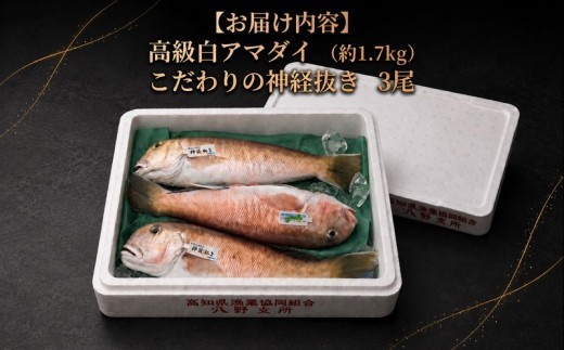 神経ぬき 白アマダイ 四万十沖 約1.7kg 3尾 高知県 黒潮町 土佐 入野港発 鮮魚 甘鯛 手釣り 白甘鯛 シロアマダイ 1.7kg前後 旬の魚 シリーズ 冷蔵 新鮮 天然 鯛 たい タイ アマダ
