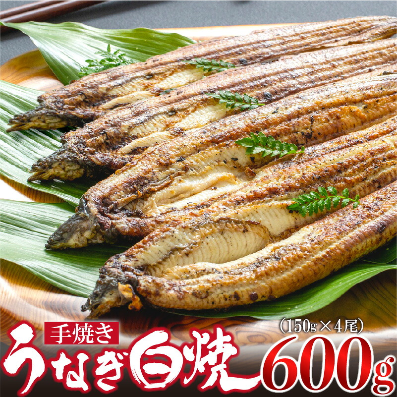 〈いろは〉九州産手焼きうなぎ白焼き 4尾 (約600g) [M829-1] ウナギ 鰻 炭火焼き 肉厚 うな重 ランキング 土用の丑の日 鹿児島県 人気 オススメ 宮若市