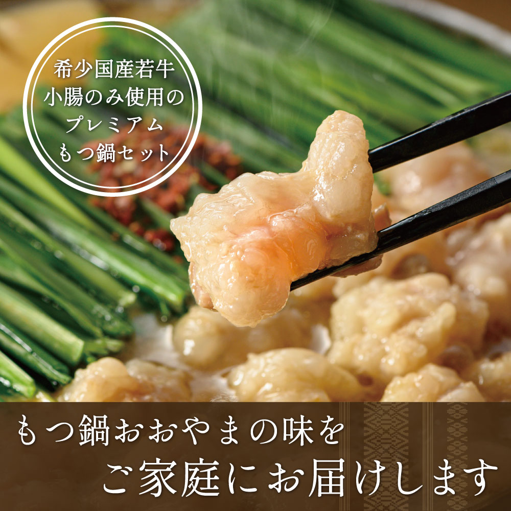 〈博多もつ鍋おおやま〉もつ鍋 みそ味 2人前 [M500] もつ鍋 セット 味噌 みそ モツ鍋 おおやま ホルモン 国産 福岡 博多 モツ もつ 鍋セット リピート 人気 おすすめ 国産牛 鍋 スープ