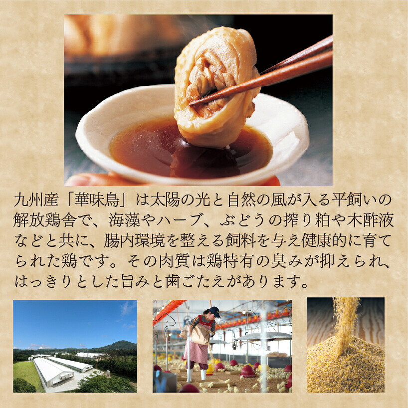 〈博多華味鳥〉 水たきセット 3～4人前 柚子胡椒付き(H-A1) [M877-1] 水炊き 鍋 人気 セット 肉 鶏 はなみどり ご当地グルメ 福岡 スープ