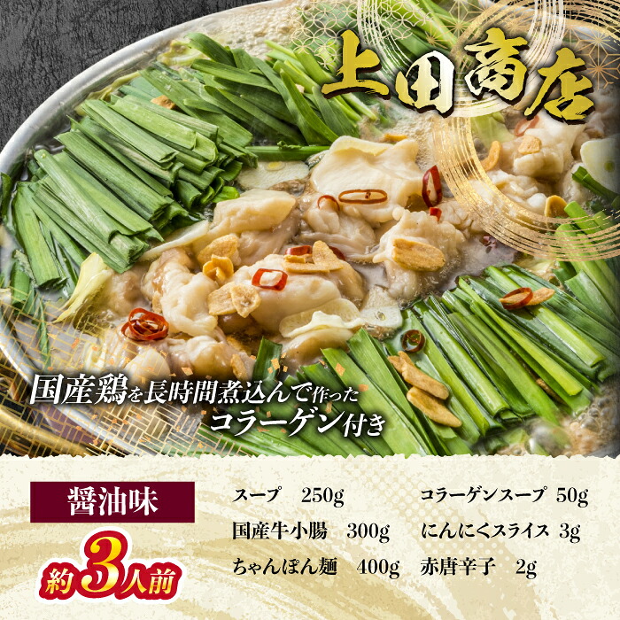 博多名物もつ鍋バラエティセット【隔月定期便(計3回発送)】 [M966-1]