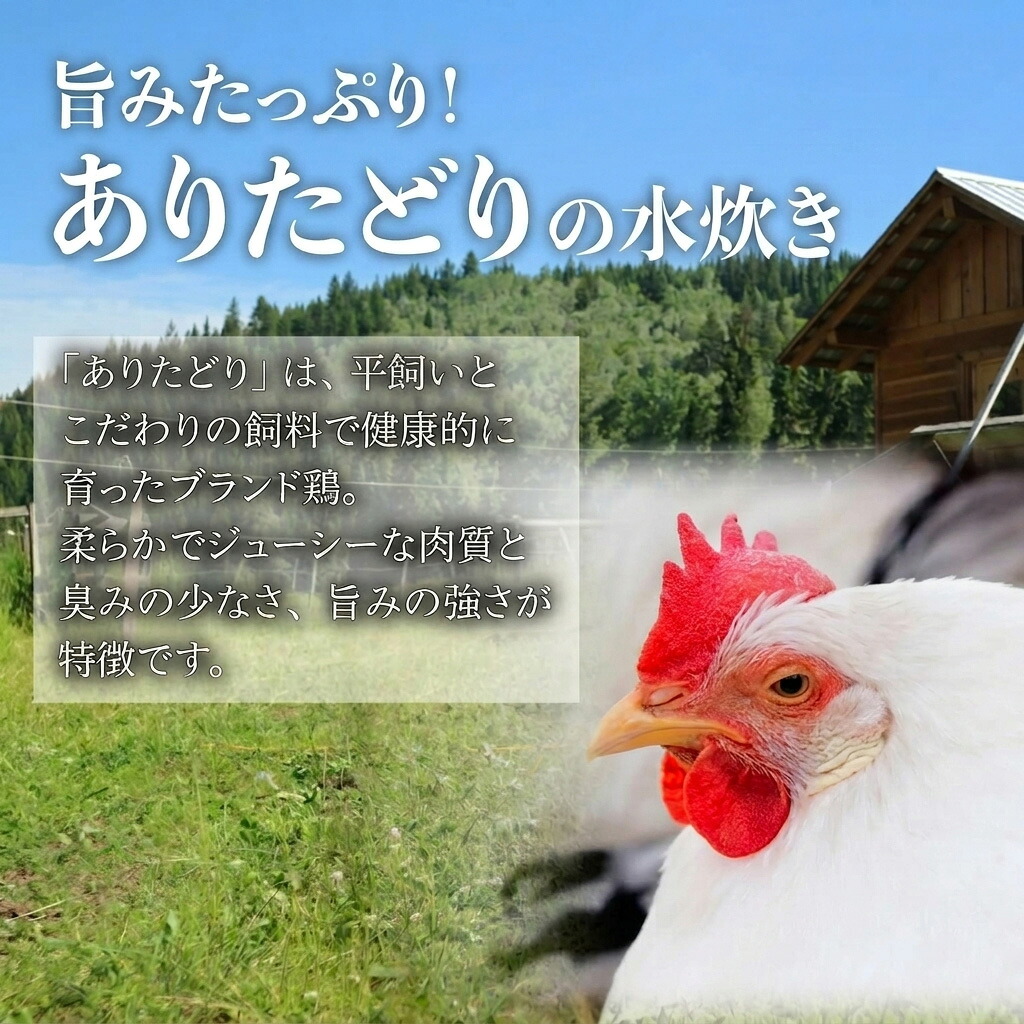 「上田商店」おすすめ定期便！【隔月定期便(年6回発送)】 [M969-1]
