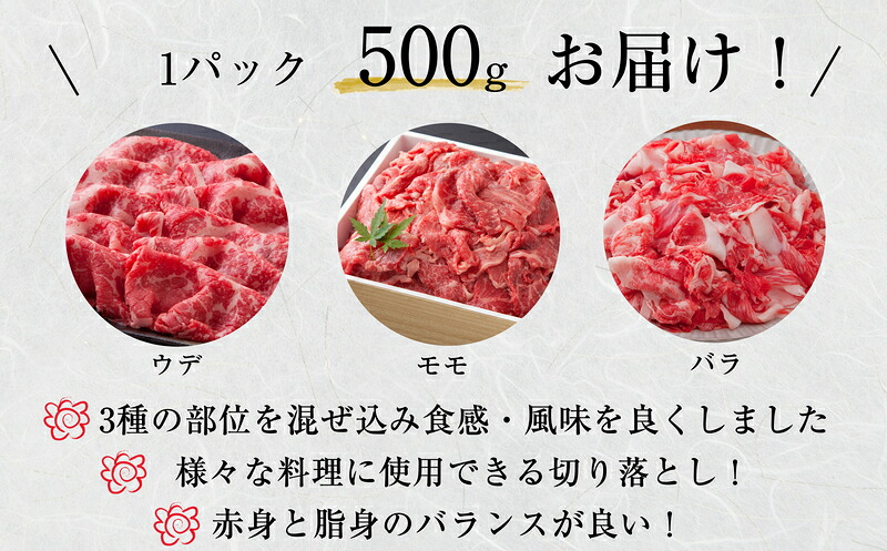 【数量限定】福岡県産 ブランド牛 博多和牛 100％ 切り落とし (モモ・バラ・ウデ混合) 500g×1パック 計500g [M544-1] 湯煎 熱湯 和牛 便利 人気 和食 夜食 惣菜 時短