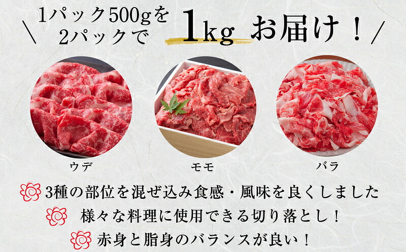 【数量限定】福岡県産 ブランド牛 博多和牛 100％ 切り落とし (モモ・バラ・ウデ混合) 500g×2パック 計1000g [M545-1] 湯煎 熱湯 和牛 便利 人気 和食 夜食 惣菜 時短