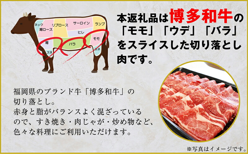 【数量限定】福岡県産 ブランド牛 博多和牛 100％ 切り落とし (モモ・バラ・ウデ混合) 500g×2パック 計1000g [M545-1] 湯煎 熱湯 和牛 便利 人気 和食 夜食 惣菜 時短