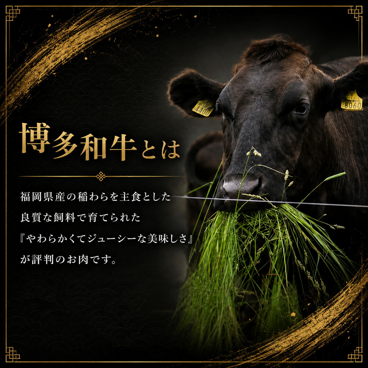 A5,4等級 博多和牛サーロインステーキ 200g×2枚 計400g [M1005]