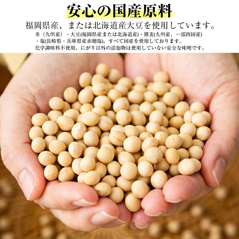 〈若宮みそ〉昔ながらの手造り味噌 米味噌 900g・合わせ味噌 900g 詰め合わせ [M589-1-1] 米 麦 麹 調味料 大豆 にがり ミソ 発酵 九州 福岡 宮若 国産