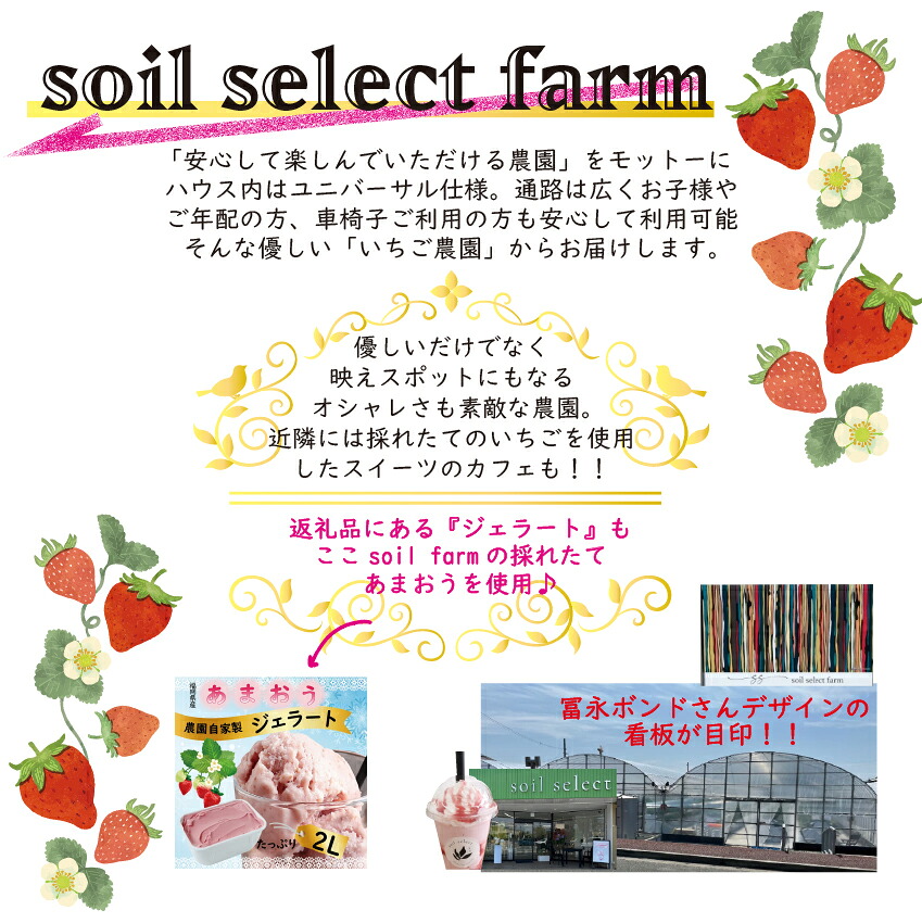 〈SoiL〉いちご農園自家製 あまおう ジェラート 2L入り [M588] アイス シャーベット 限定 苺 イチゴ ブランド ストロベリー 福岡 人気 フルーツ 果物 くだもの