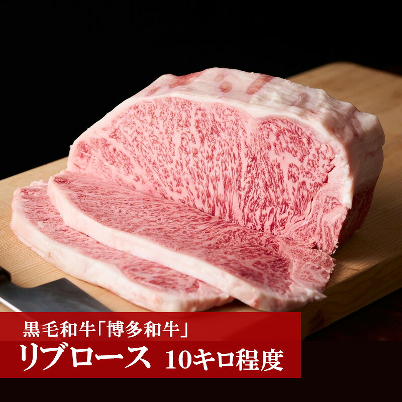 博多和牛リブロース(10kg程度) [M55]