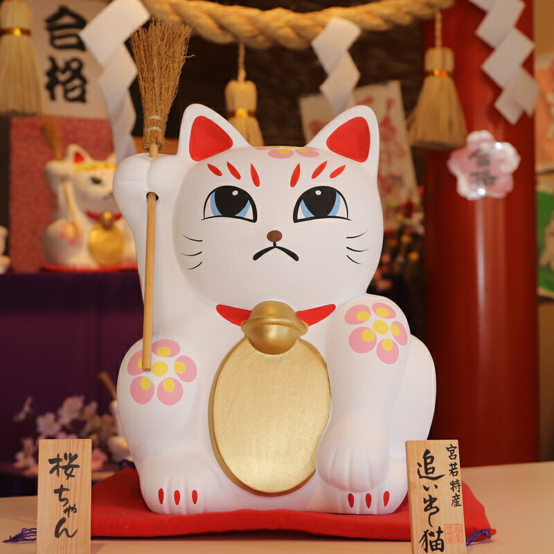 宮若追い出し猫〉 さくらちゃん(高さ30cm) [M42-1] 招き猫 招福 幸運