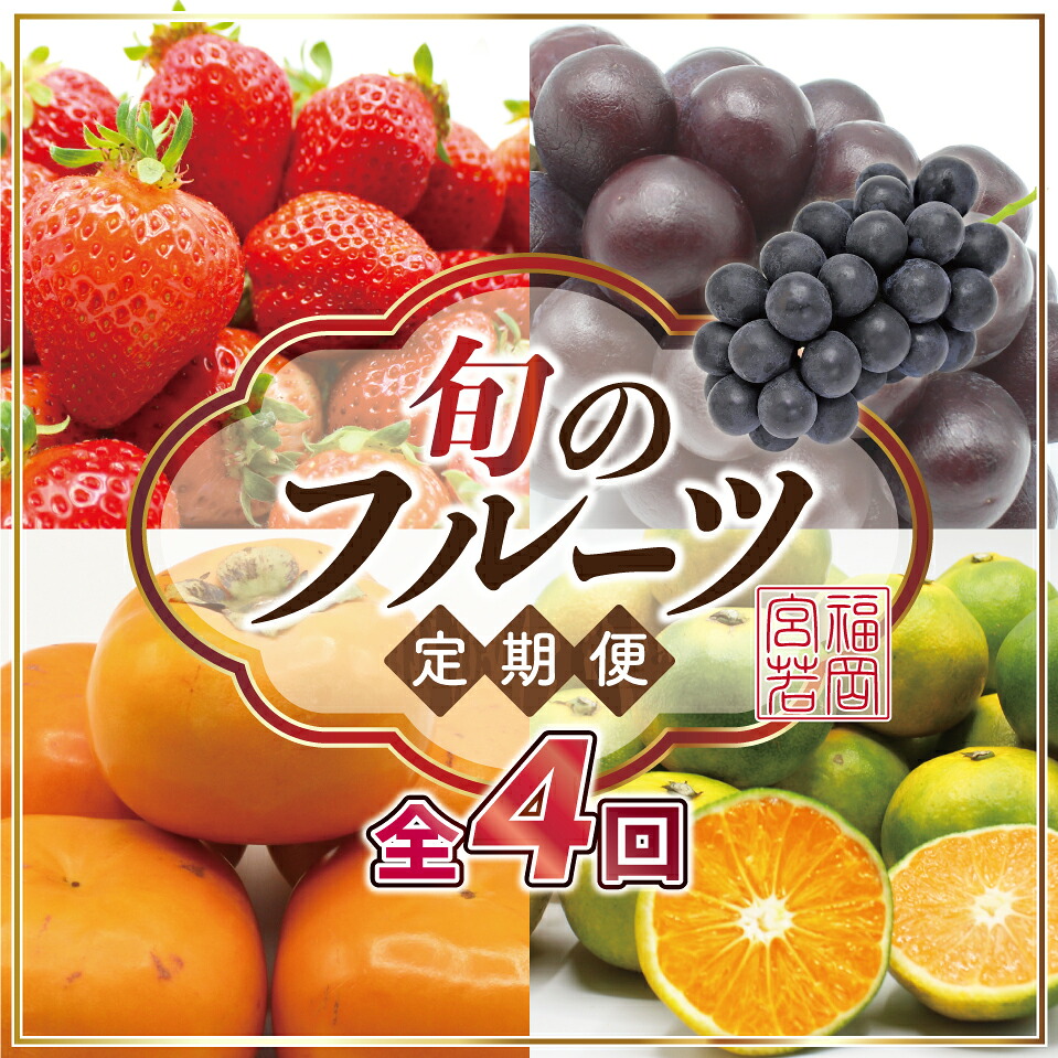 【定期便】宮若市旬のフルーツ定期便 (年4回) [M763] ブランド いちご ぶどう みかん 柿 大人気 NO1 限定品 高級 フルーツ 果物 くだもの 特別 冷蔵 プレゼント 九州 福岡