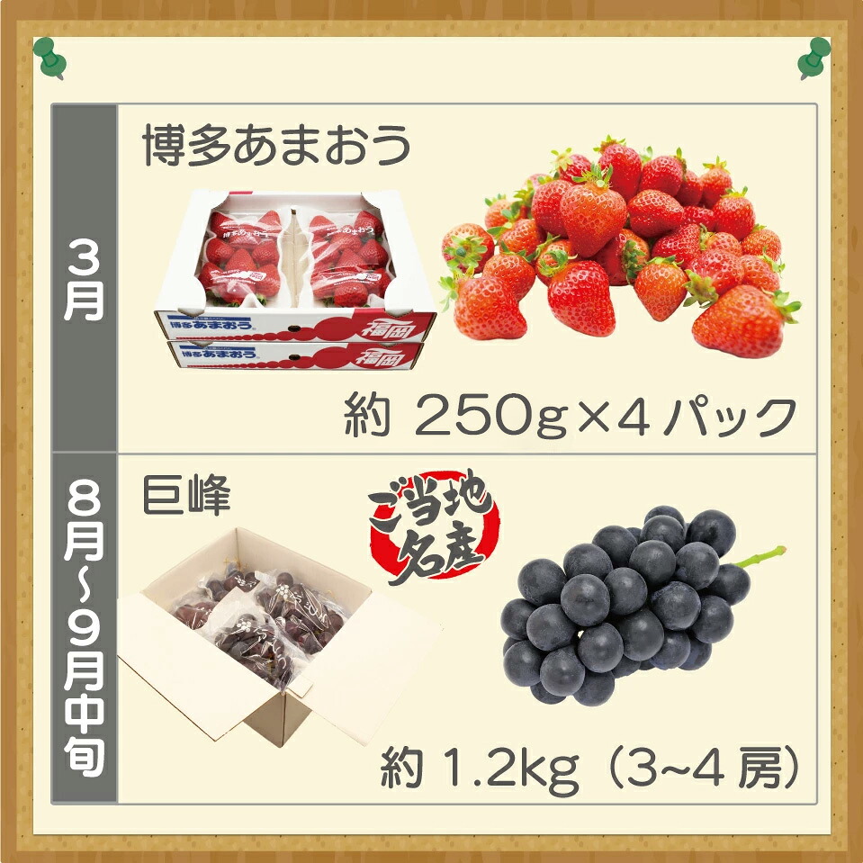 【定期便】宮若市旬のフルーツ定期便 (年4回) [M763] ブランド いちご ぶどう みかん 柿 大人気 NO1 限定品 高級 フルーツ 果物 くだもの 特別 冷蔵 プレゼント 九州 福岡