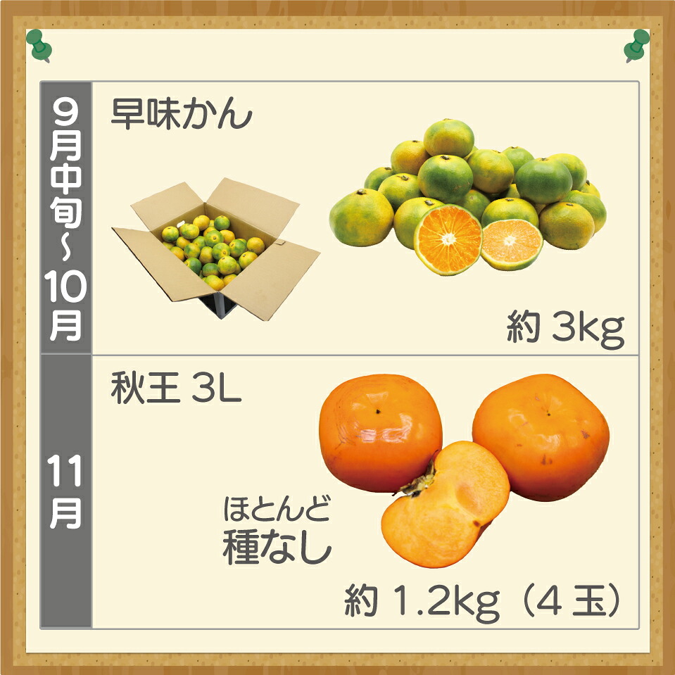 【定期便】宮若市旬のフルーツ定期便 (年4回) [M763] ブランド いちご ぶどう みかん 柿 大人気 NO1 限定品 高級 フルーツ 果物 くだもの 特別 冷蔵 プレゼント 九州 福岡