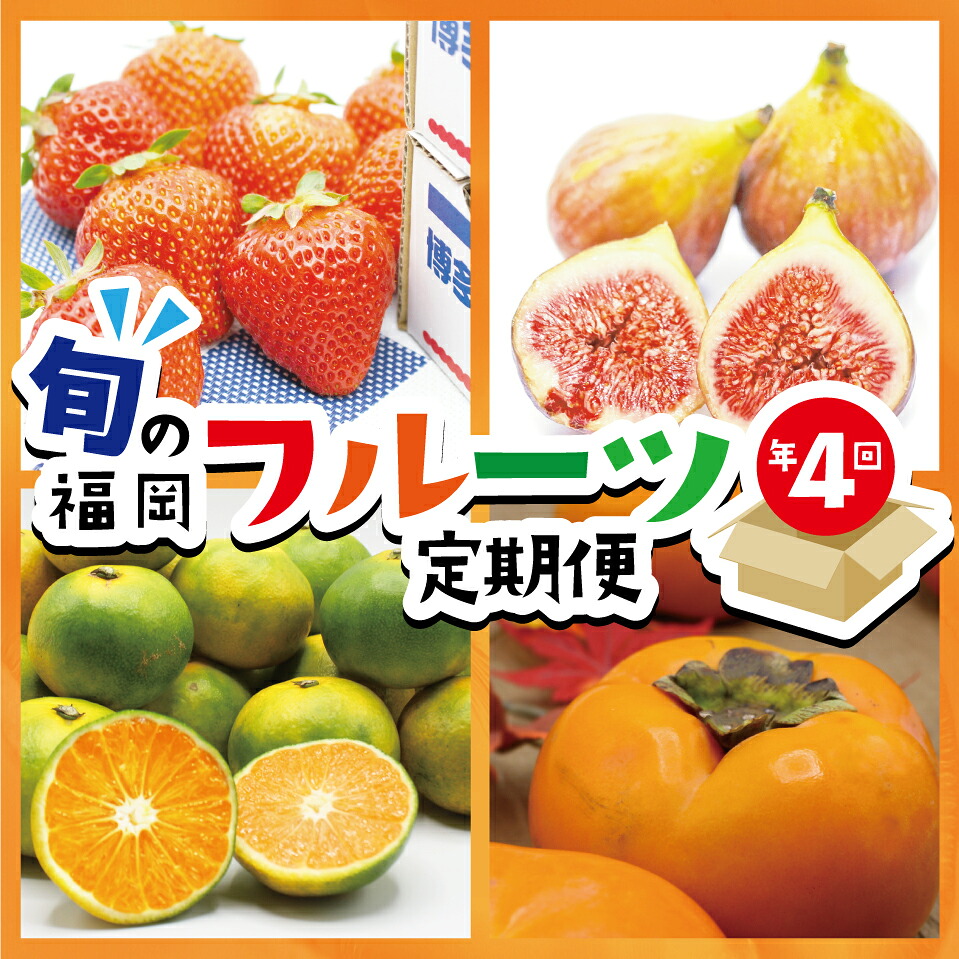【定期便】福岡県ブランドフルーツ定期便 (年4回) [M771] ブランド いちご いちじく みかん 柿 大人気 NO1 限定品 高級 フルーツ 果物 くだもの 特別 冷蔵 プレゼント 九州 福岡