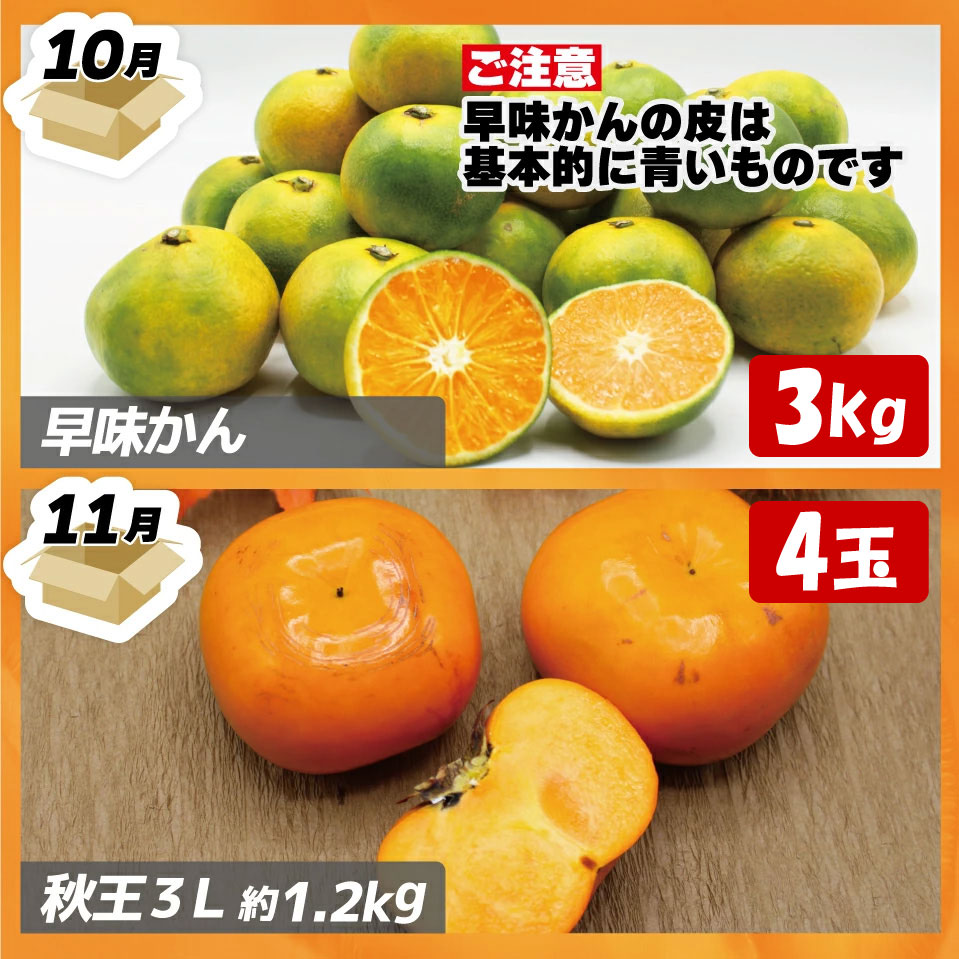 【定期便】福岡県ブランドフルーツ定期便 (年4回) [M771] ブランド いちご いちじく みかん 柿 大人気 NO1 限定品 高級 フルーツ 果物 くだもの 特別 冷蔵 プレゼント 九州 福岡
