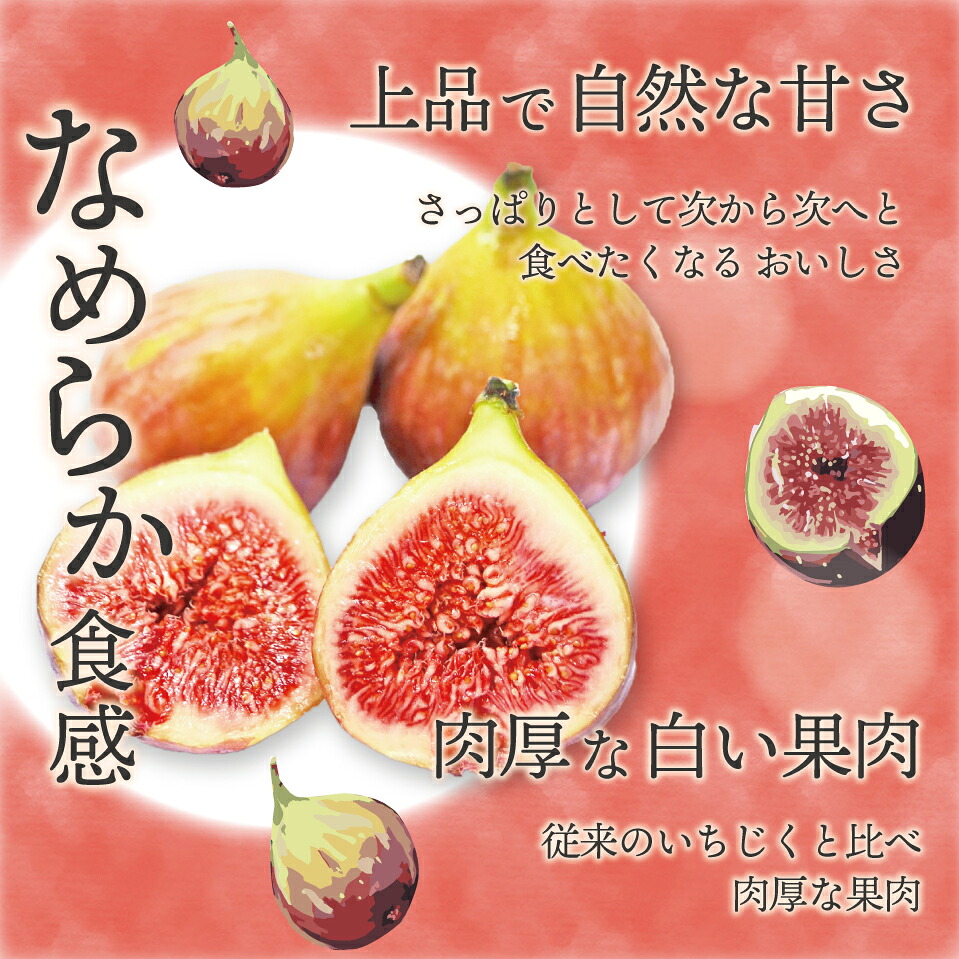 【令和8年度産】【先行予約】福岡県ブランドいちじく「博多とよみつひめ」300g×4パック [M775-2] 福岡県限定 果肉 上品 甘い なめらか食感 糖度17度 フルーツ 果物