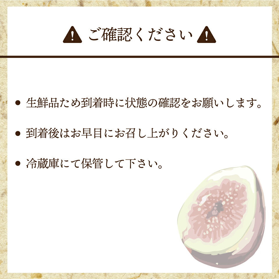 【令和8年度産】【先行予約】福岡県ブランドいちじく「博多とよみつひめ」300g×4パック [M775-2] 福岡県限定 果肉 上品 甘い なめらか食感 糖度17度 フルーツ 果物