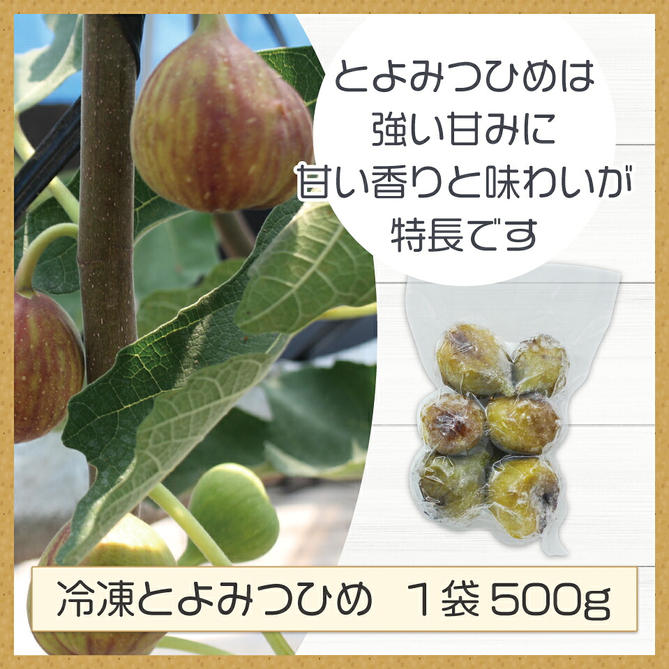 【訳あり】冷凍いちじく「博多とよみつひめ」 1kg (500g×2パック) [M871]