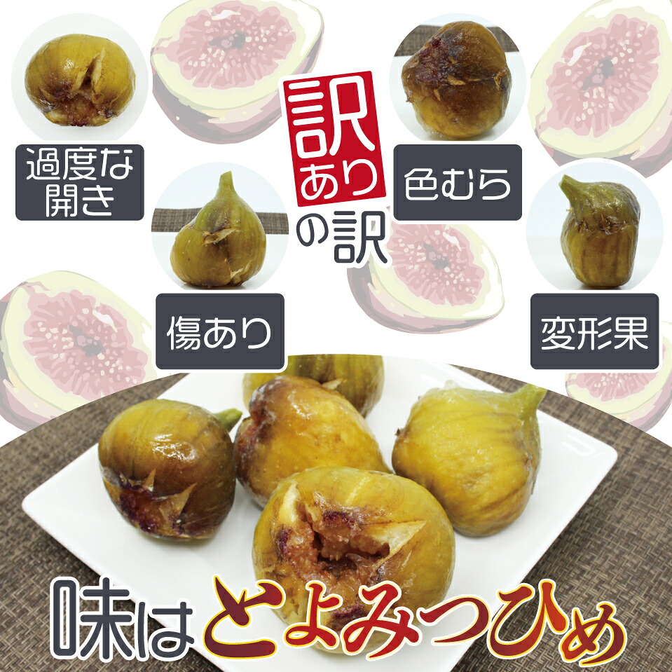 【訳あり】冷凍いちじく「博多とよみつひめ」 2kg (500g×4パック) [M872]