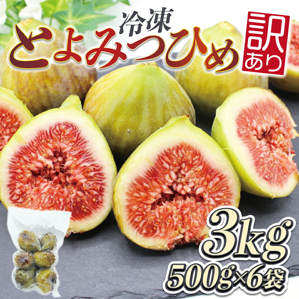 【訳あり】冷凍いちじく「博多とよみつひめ」 3kg (500g×6パック) [M873]