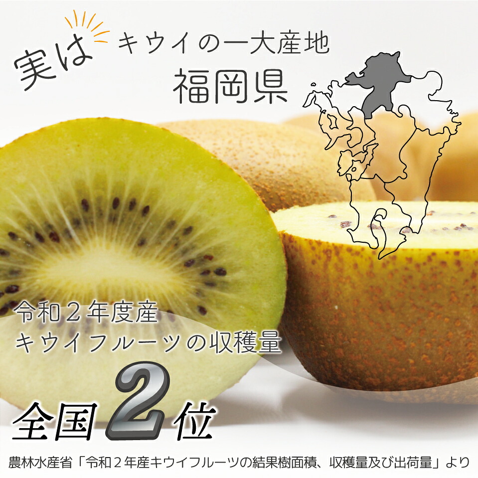 【先行予約】【2026年10月下旬より順次発送】福岡県ブランドキウイフルーツ博多甘うぃ 約3.6kg [M998]