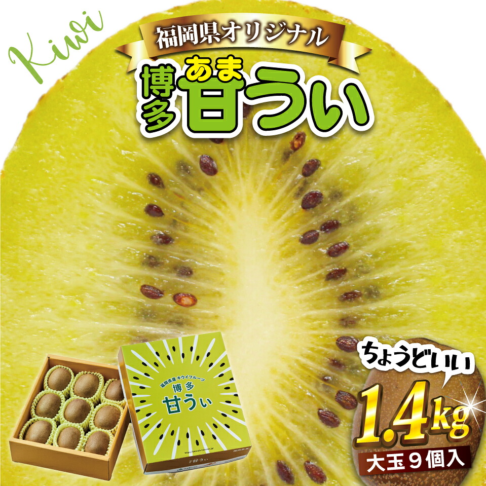 【先行予約】【2026年10月下旬より順次発送】福岡県キウイフルーツ「博多甘うぃ」化粧箱 大玉9玉 [M999]
