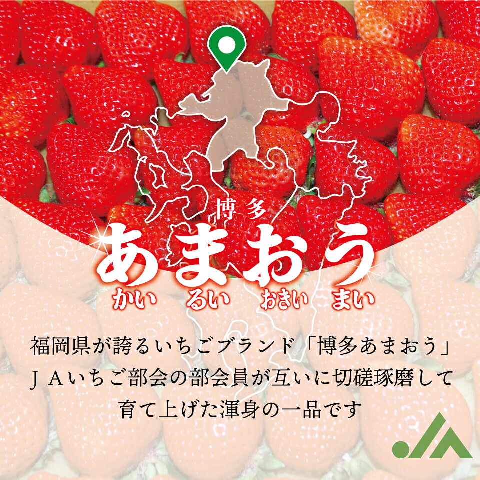 【3回定期便】【2027年2月上旬~4月下旬配送】博多あまおう 250g~270g×4パック [M870-1]